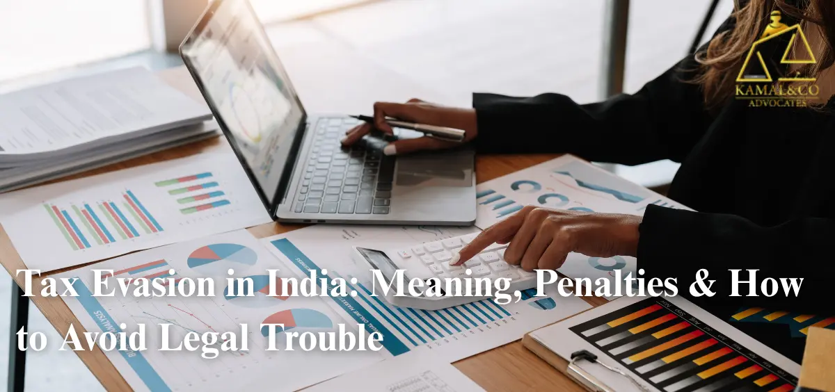 meaning of tax evasion in India